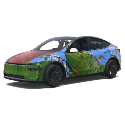 Reflets tropicaux – covering Tesla Model Y