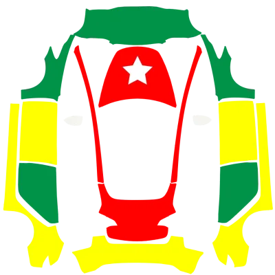 Togo flag – Tesla Model 3 wrap