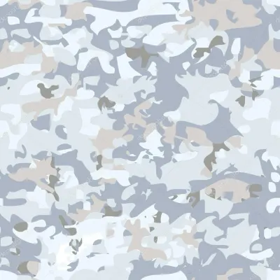 淺色迷彩（Light colored camo） – 特斯拉 Model 3 塗裝