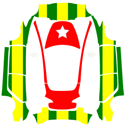 Togo flag cover – Tesla Model 3 wrap
