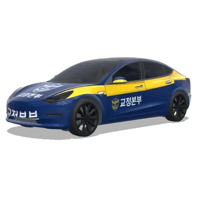 Управление исполнения наказаний (교정본부) – оклейка Tesla Model 3
