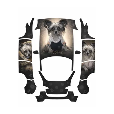 Tesla Taxi Pup Pup (Pup Pup Tesla Taxi) – covering Tesla Model Y