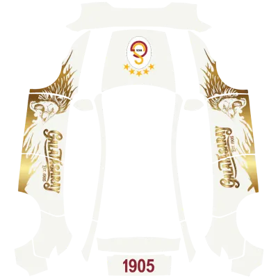 갈라타사라이 골드 (Galatasaray Gold) – 테슬라 Model Y 랩핑