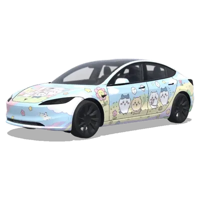 Чикава (chikawa) – оклейка Tesla Model 3