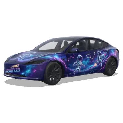 별똥별 스타일 (星星人风格) – 테슬라 Model 3 랩핑