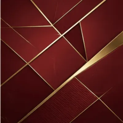 Bordeaux-Gold (Maroon_Gold) – Tesla Model X Wrap