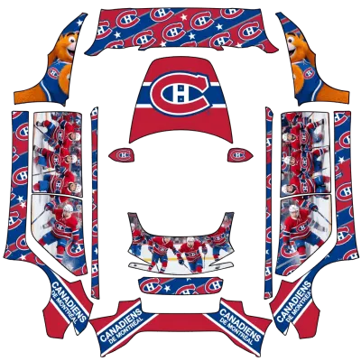 Canadiens – covering Tesla Model 3
