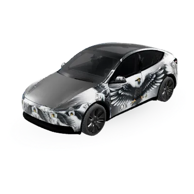 Kara Kartal (Kara kartal) – covering Tesla Model Y