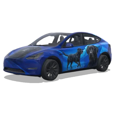 블랙 래브라도 래핑 (собака лабрадор чорна а машина синя.) – 테슬라 Model Y 랩핑