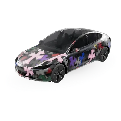 CH zu viel (CH to much) – Tesla Model 3 Wrap