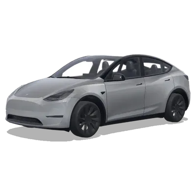 ルーパー・ミラー黒 (루프필러와 백미러를 검정색으로 바꿔줘) – テスラ Model Y ラッピング