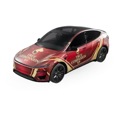 TC1 – Tesla Model Y Wrap