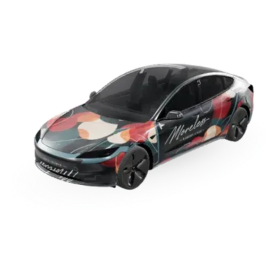 背景色更改（배경색 변경） – 特斯拉 Model 3 塗裝