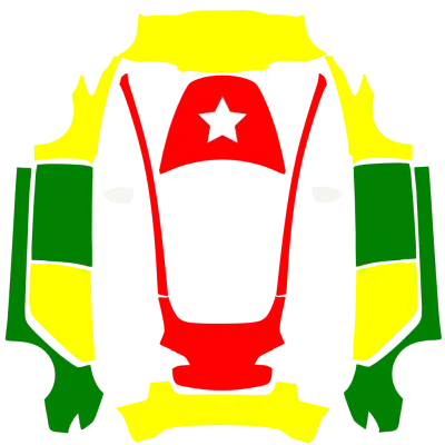 Togo flag yelow f – Tesla Model 3 wrap