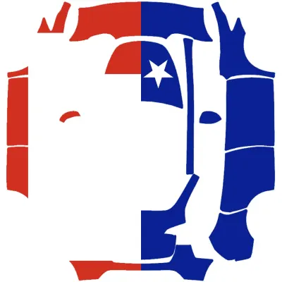 Texas Flag – Tesla Model Y wrap