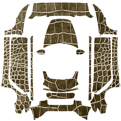 악어가죽 (Gator skin) – 테슬라 Model 3 랩핑