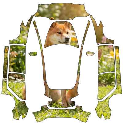 Shiba – covering Tesla Model 3