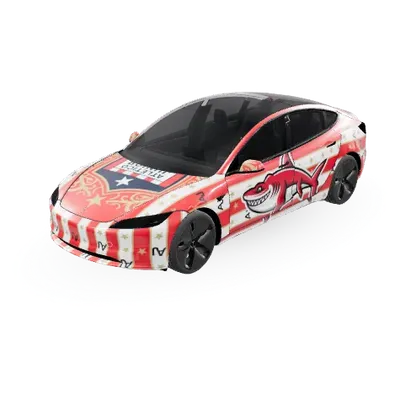 Junior – Tesla Model 3 Wrap