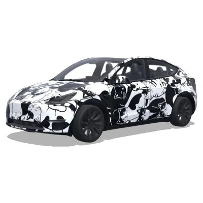 Bunch of black and white cats – Tesla Model Y wrap