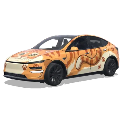 cat – Tesla Model Y wrap