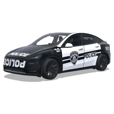 Чёрно-белая окраска автомобиля подразделения кинологической – оклейка Tesla Model Y