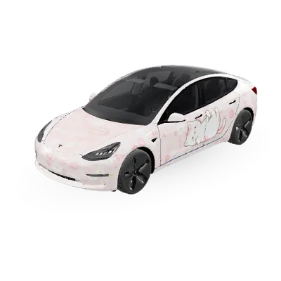 Cat 1 – Tesla Model 3 Wrap