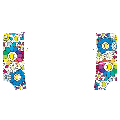 Murakami Türen Weiß (Murakami Doors (White)) – Tesla Model Y Wrap