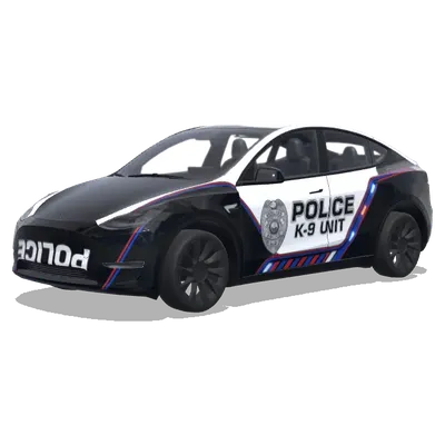 Чёрно-белая полицейская кинологическая – оклейка Tesla Model Y