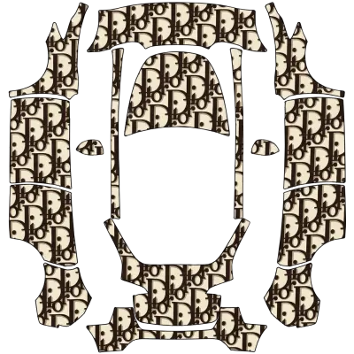디올 로고 (Dior Logos) – 테슬라 Model Y 랩핑