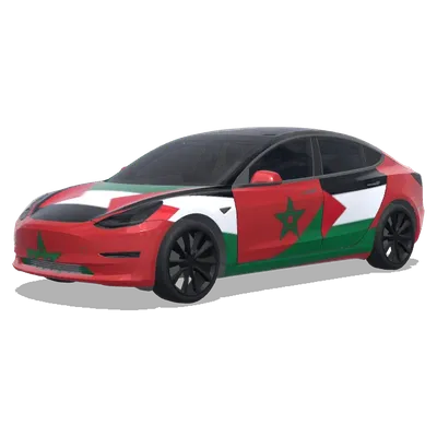 Флаги Марокко и Палестины (moroccan national flag and palestinian flag mixed.) – оклейка Tesla Model 3