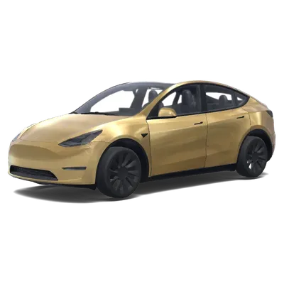 Golden Horizon – Tesla Model Y wrap
