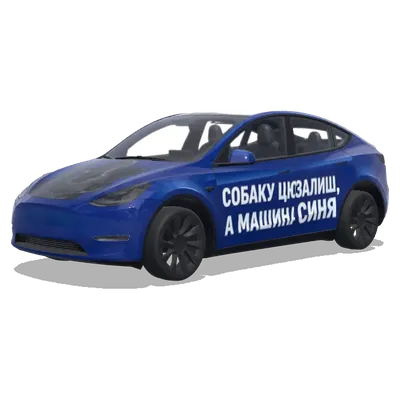 Dog Blue Car (собаку цю залиш,а машина синя) – Tesla Model Y wrap