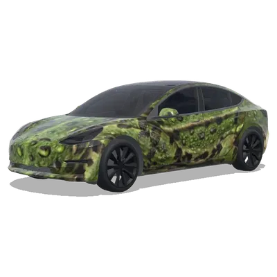 개구리 랩 (make the entire car look like a frog.) – 테슬라 Model 3 랩핑