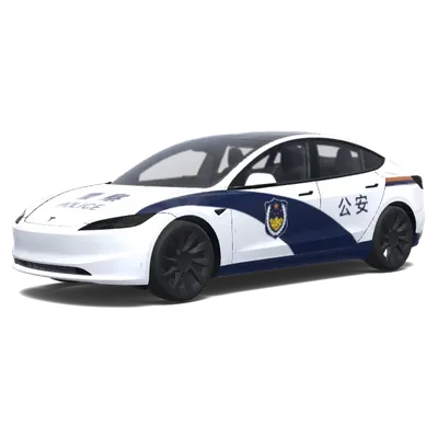Polizei (公安) – Tesla Model 3 Wrap