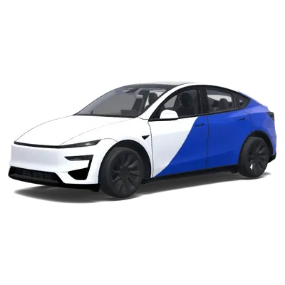 Samsung Lions (삼성라이온즈 차량 만들어줘) – Tesla Model Y Wrap