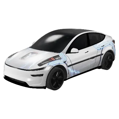 백 투 더 퓨처 모델 Y 주니퍼 프리미엄 (Back to the Future - Model Y Juniper Premium) – 테슬라 Model Y 랩핑