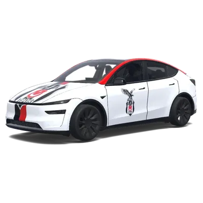 BJK Adler (BJK eagle) – Tesla Model Y Wrap
