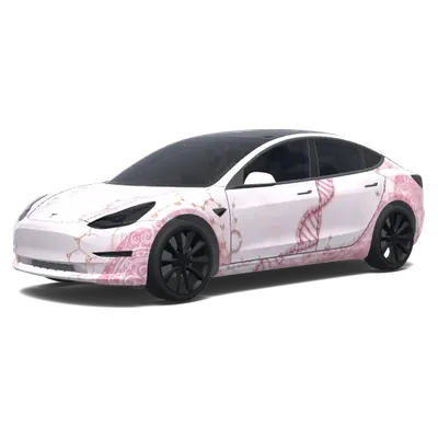 Ausrichtung prüfen (make sure everything lines up correctly) – Tesla Model 3 Wrap