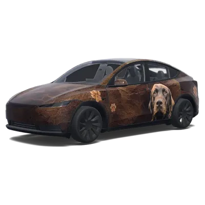 Model Y Standard Design (Model Y (2025+) Standard Design) – Tesla Model Y Wrap
