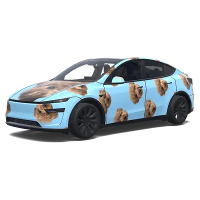 Собаки на голубом – оклейка Tesla Model Y