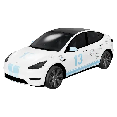 데이지 레이싱 (Daisy Racing) – 테슬라 Model Y 랩핑