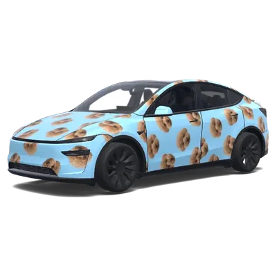 Собаки на голубом – оклейка Tesla Model Y