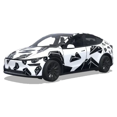 Графика Problem – оклейка Tesla Model Y