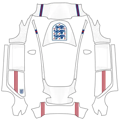 3 lions – Tesla Model 3 wrap