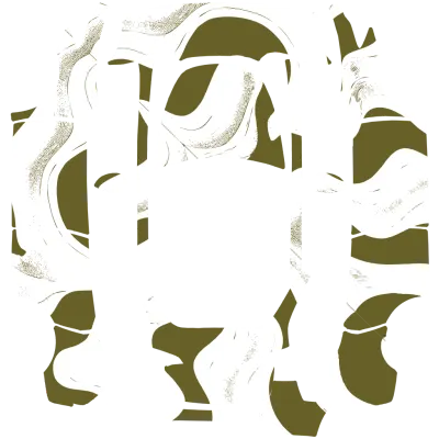 綠藝迷彩（Camo Green art） – 特斯拉 Model Y 塗裝