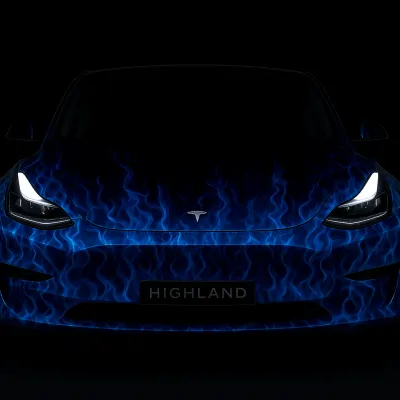 炎 (Flames) – テスラ Model 3 ラッピング