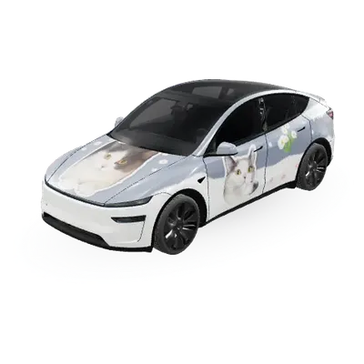 mio_at_large – Tesla Model Y Wrap