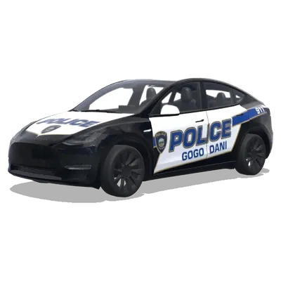 Gogo Dani Police – Tesla Model Y wrap