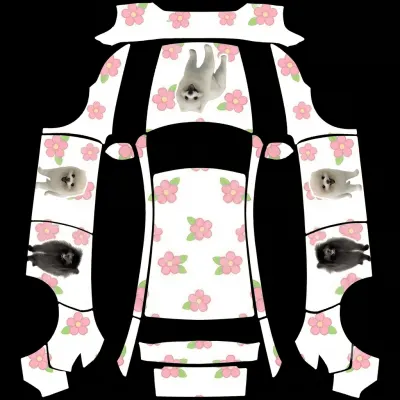 嘟嘟（Dudu） – 特斯拉 Model Y 塗裝