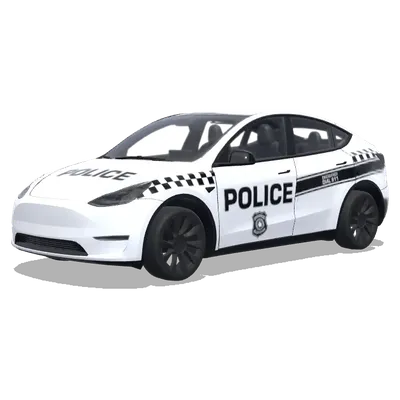 Полицейский жетон в клетку – оклейка Tesla Model Y